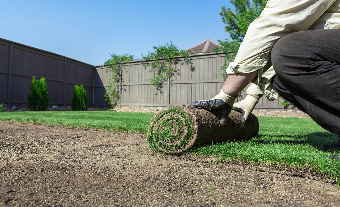 Someone rolling out the first piece of sod along paving stones.