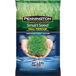 Image for Shop Tall Fescue Grass Seed