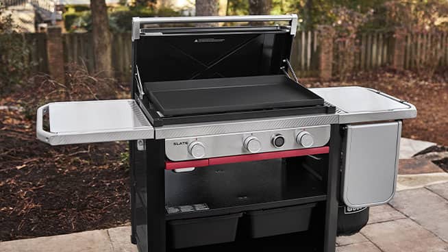 Image for Griddles & Electric Grills