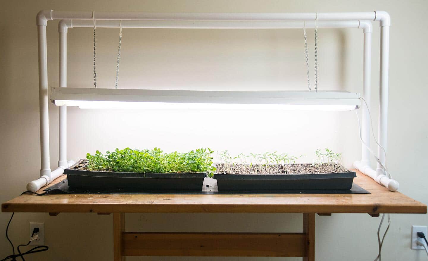 A seed starting station made with PVC pipe and grow lights