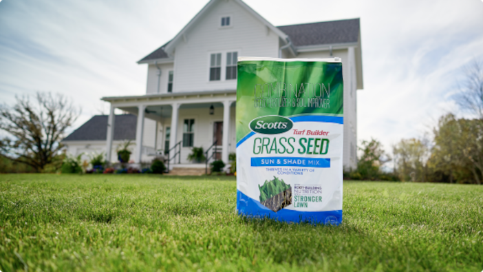 SEEDING YOUR LAWN