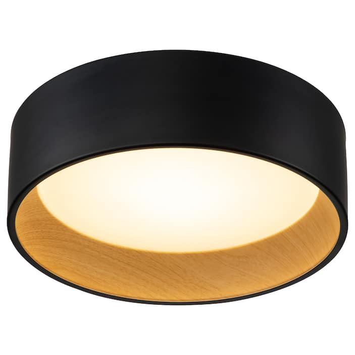Flush Mount Lights