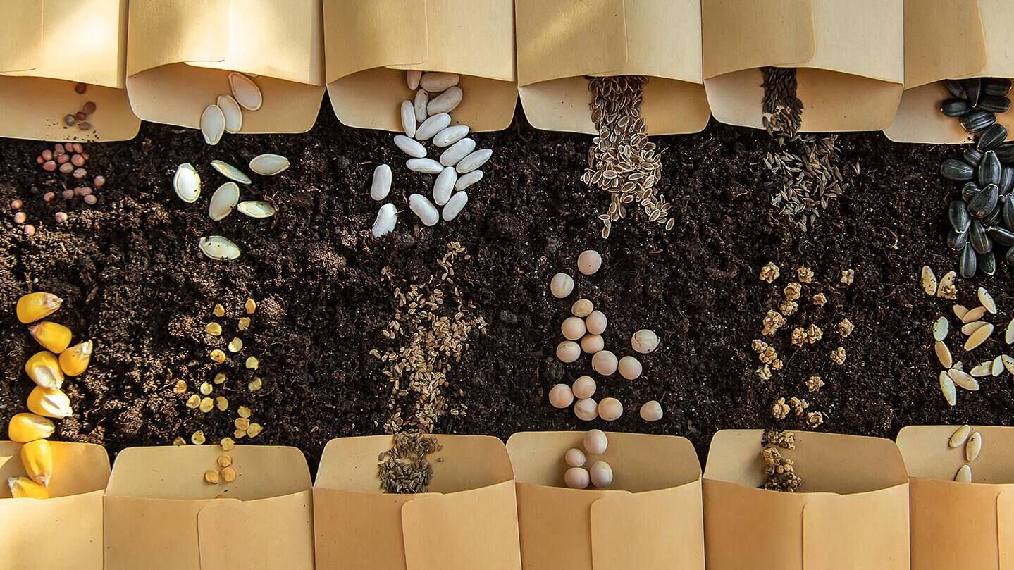 Must-Have Indoor Seed Starting Supplies
