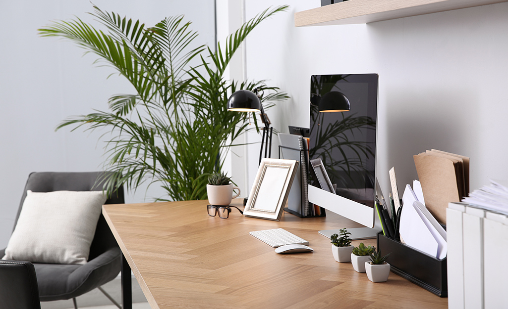 Try These Houseplants for Healthy Living
