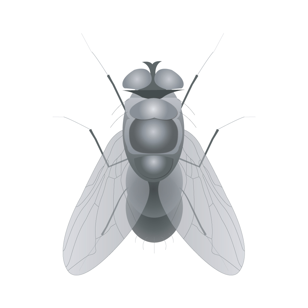 clovis pest control