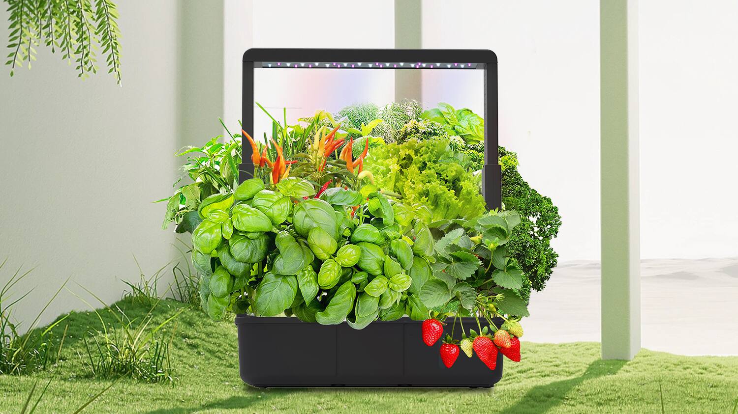 Hydroponic Gardening 