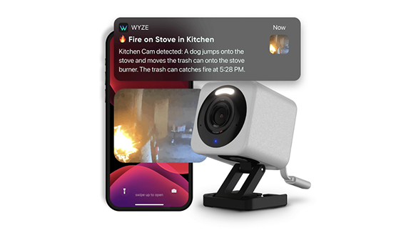 NEVER WONDER NEVER WONDER