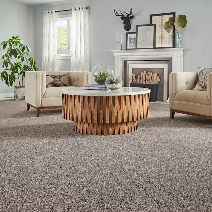 Carpet