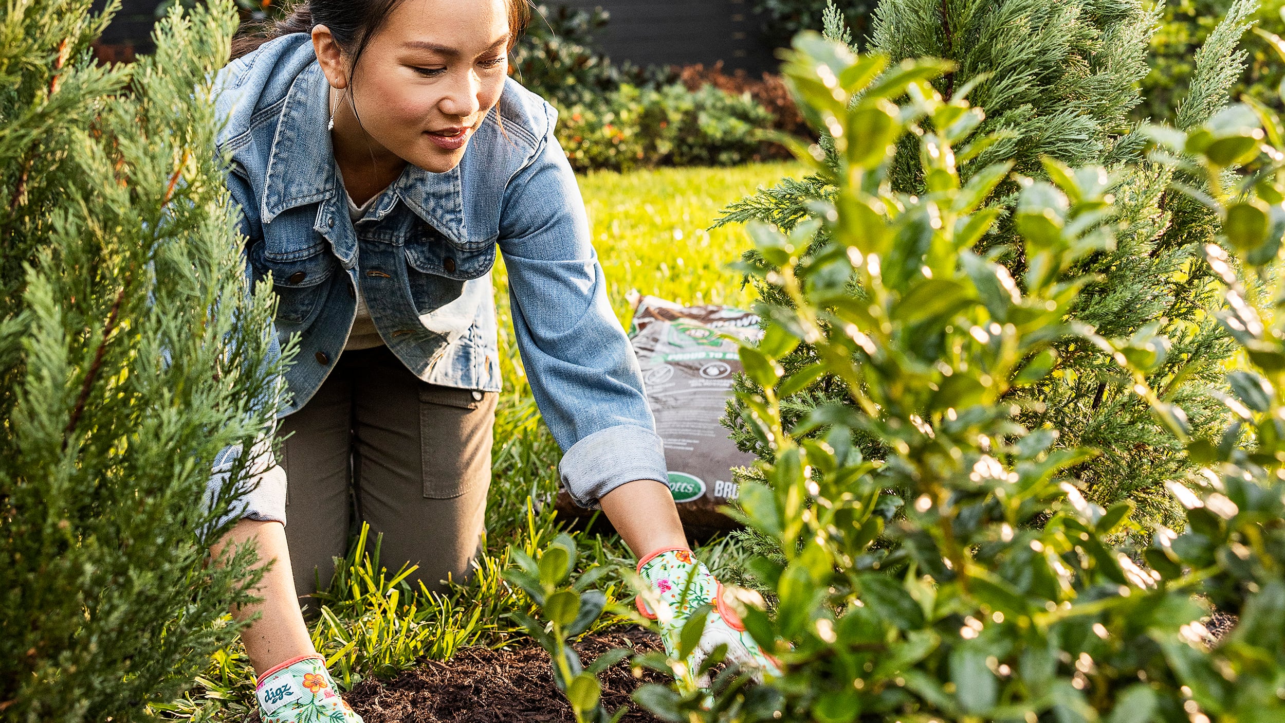 Image for FREE PICKUP IN HOURS