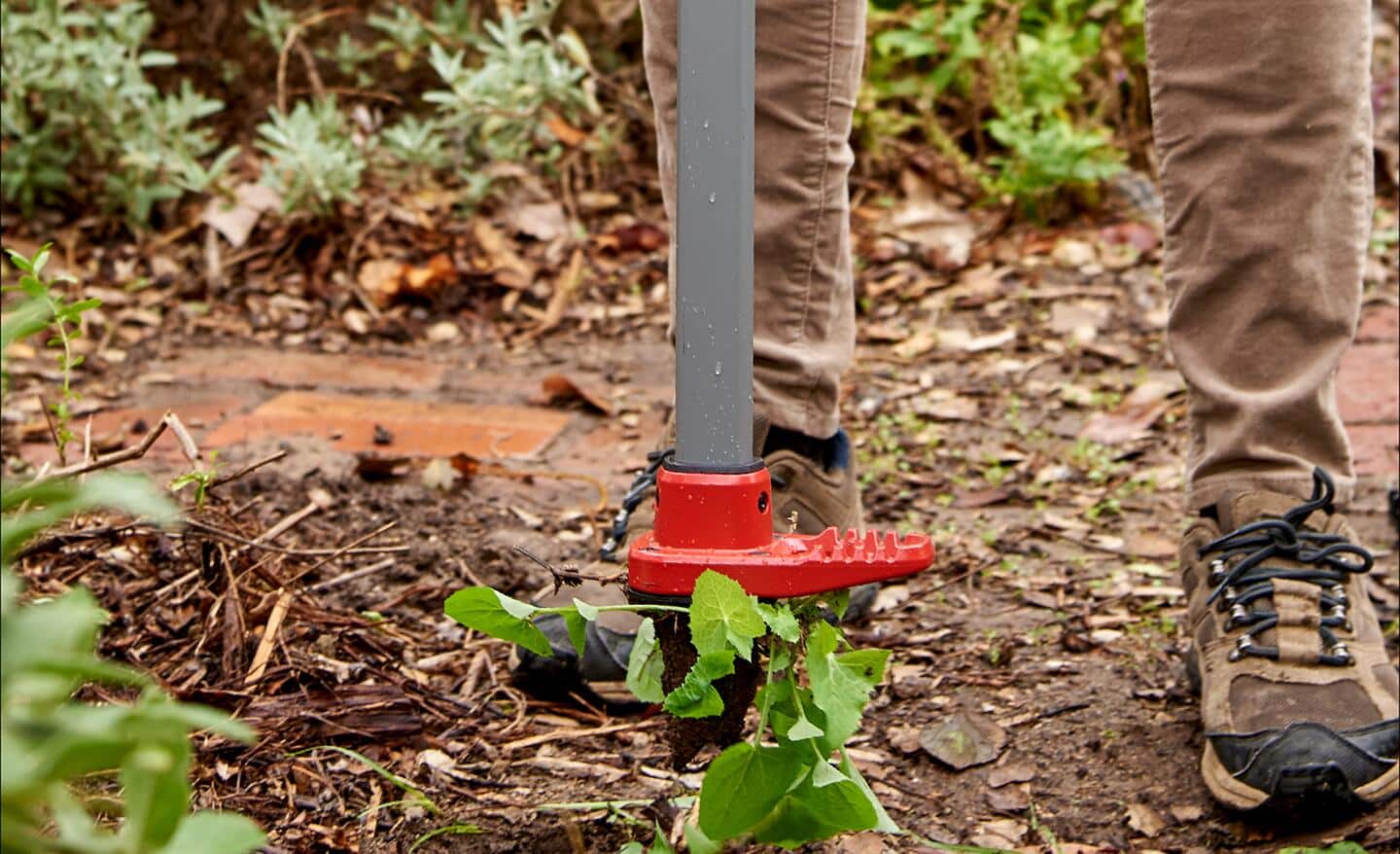 Person uses a stand-up weeding tool to pull weeds