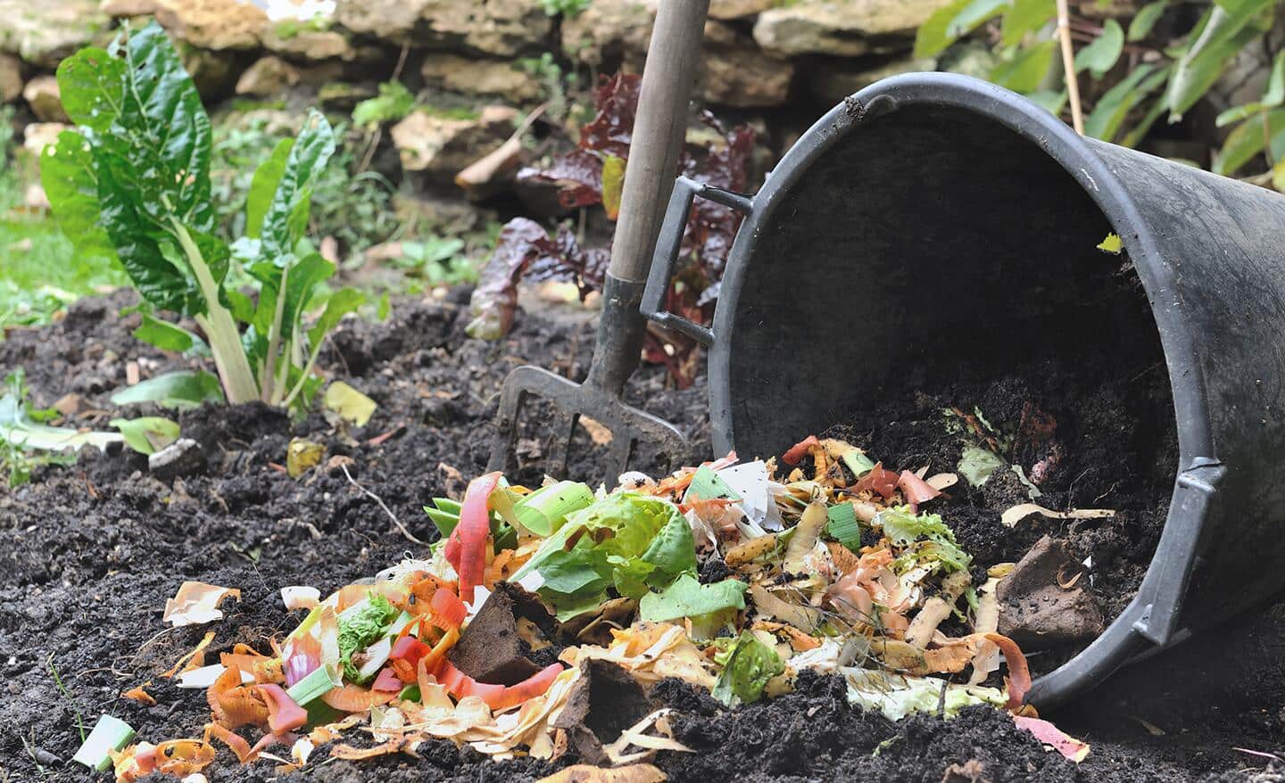 A bin of vegetable scraps in a garden bed A bin of vegetable scraps in a garden bed