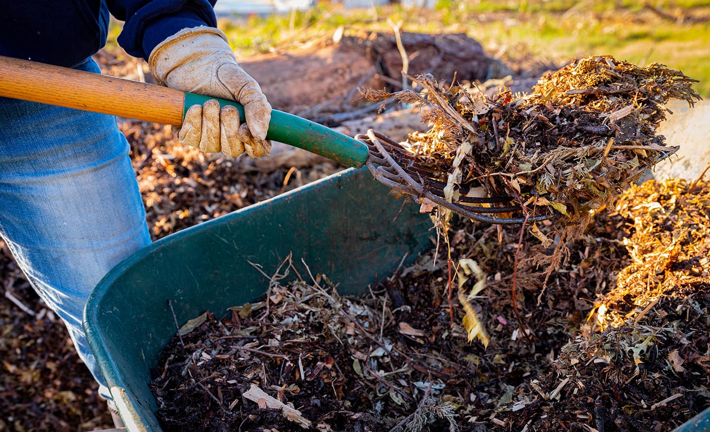 Gardener uses shovel to turn compost pile