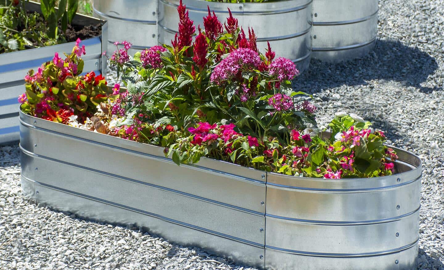 Galvanized steel raised garden bed holding colorful flowers.