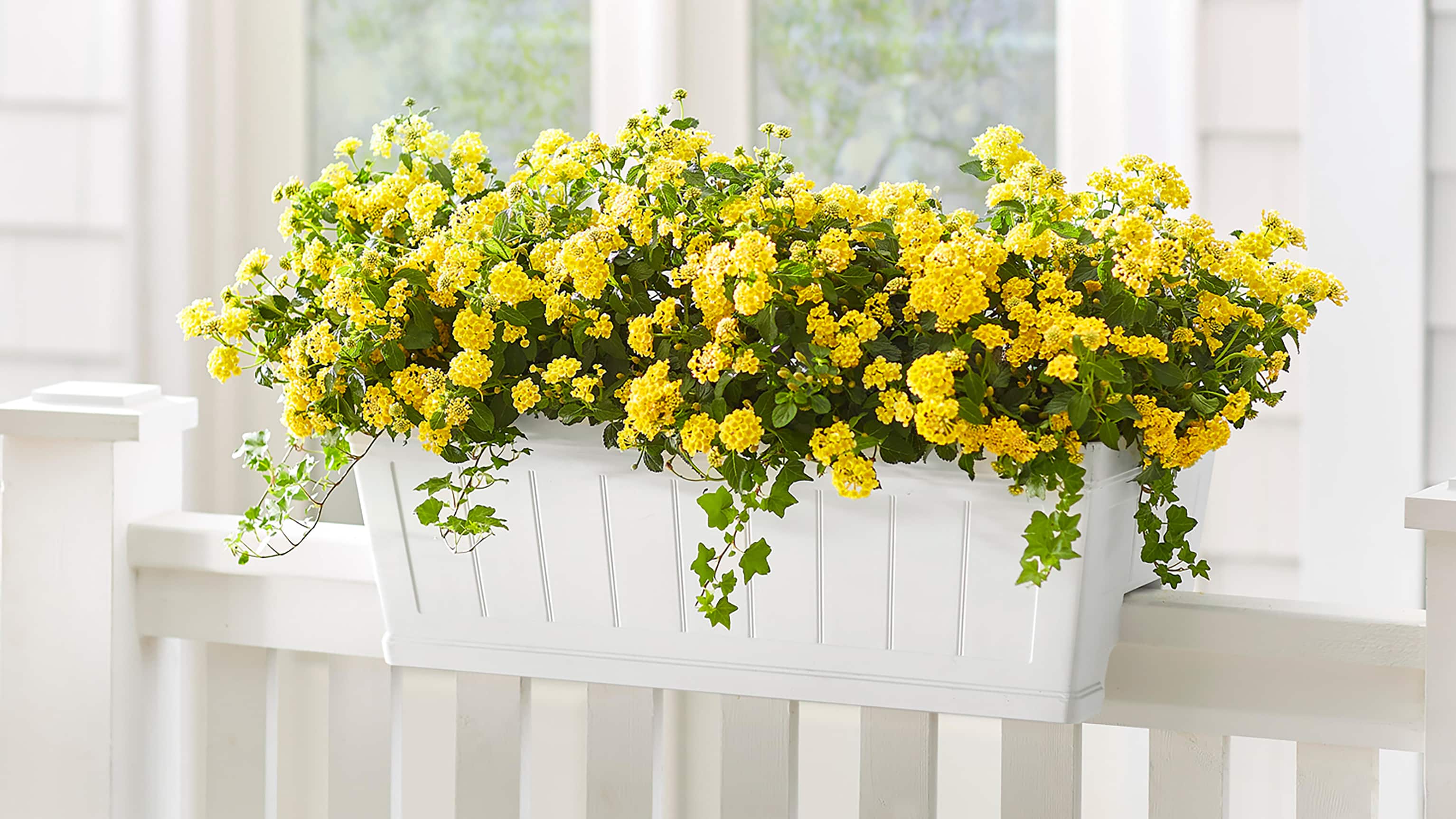 Image for MAKE GARDENING EASIER & EXCITING 