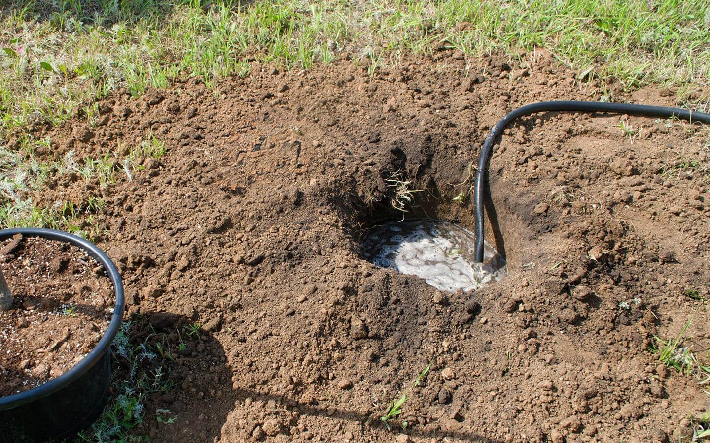 Someone testing the drainage of the soil before planting a tree.