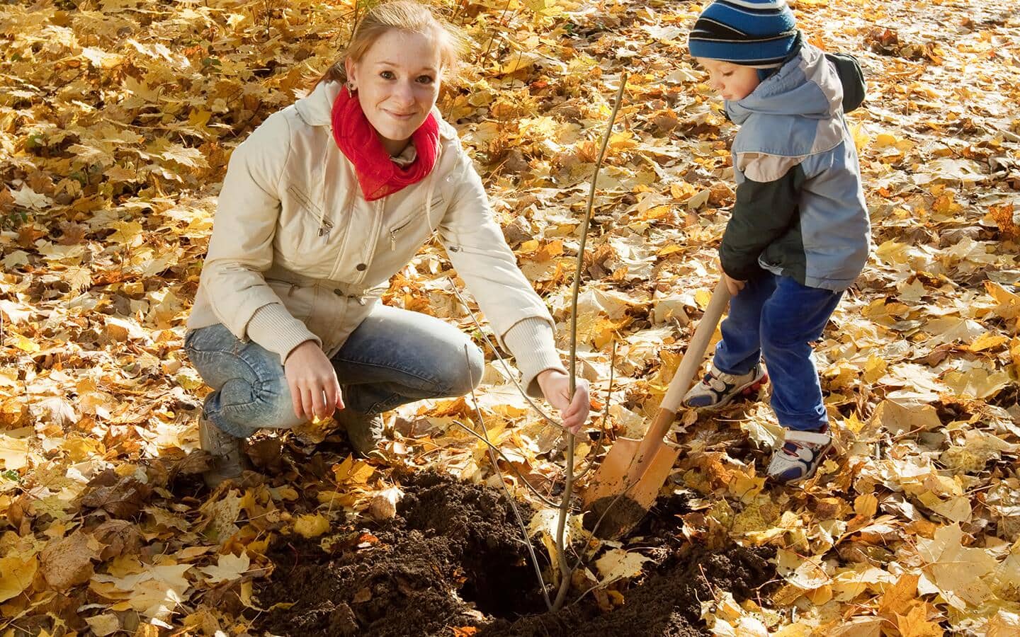 Mother and child planting a tree in the fall.