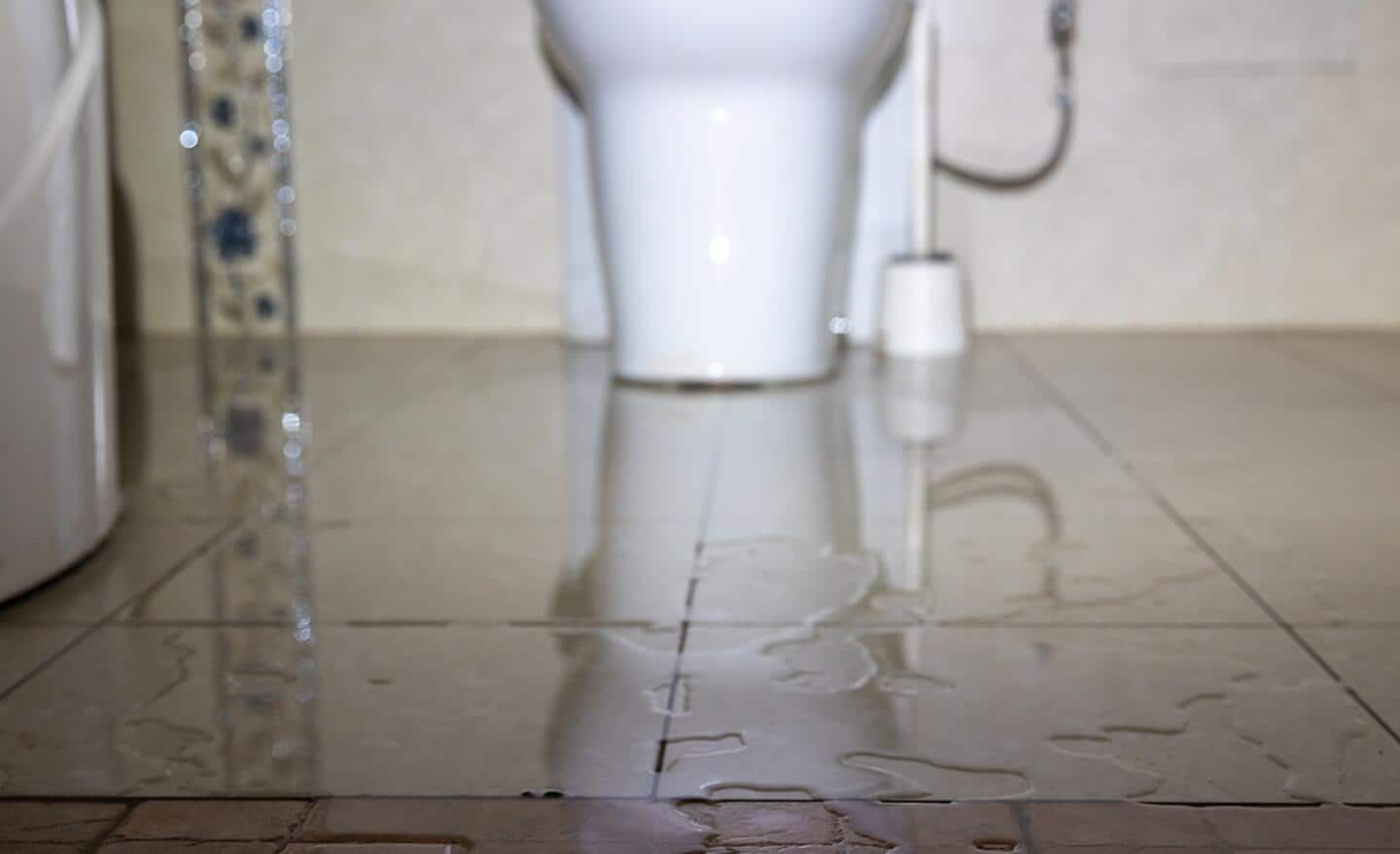 Water on a bathroom floor.