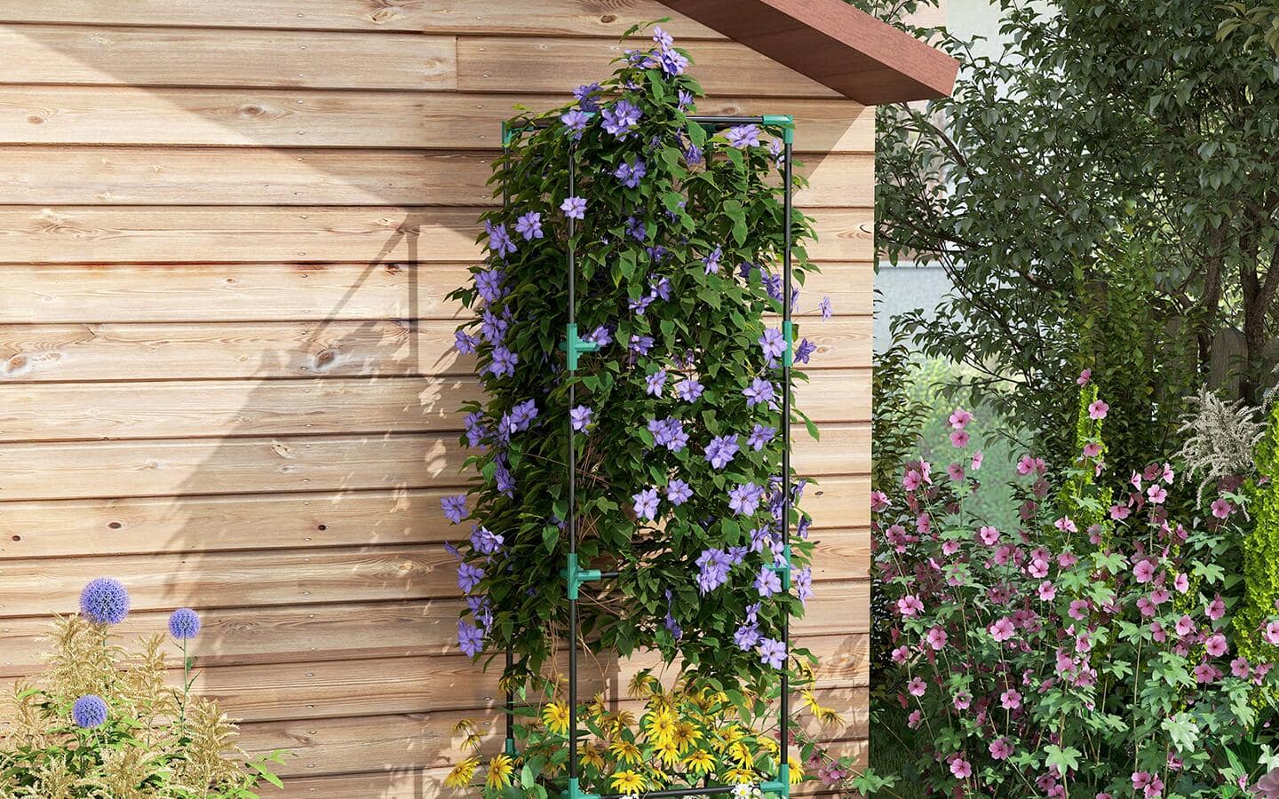 A vine growing on a metal garden trellis and overflowing with purple flowers.