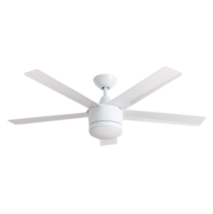 White Ceiling Fans