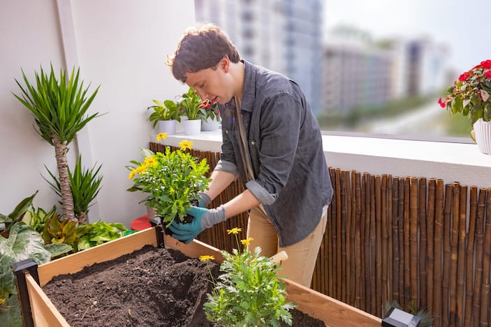 Apartment Gardening Tips