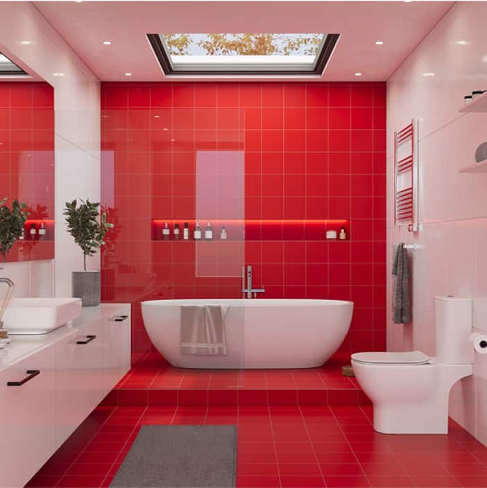 Bold Colors