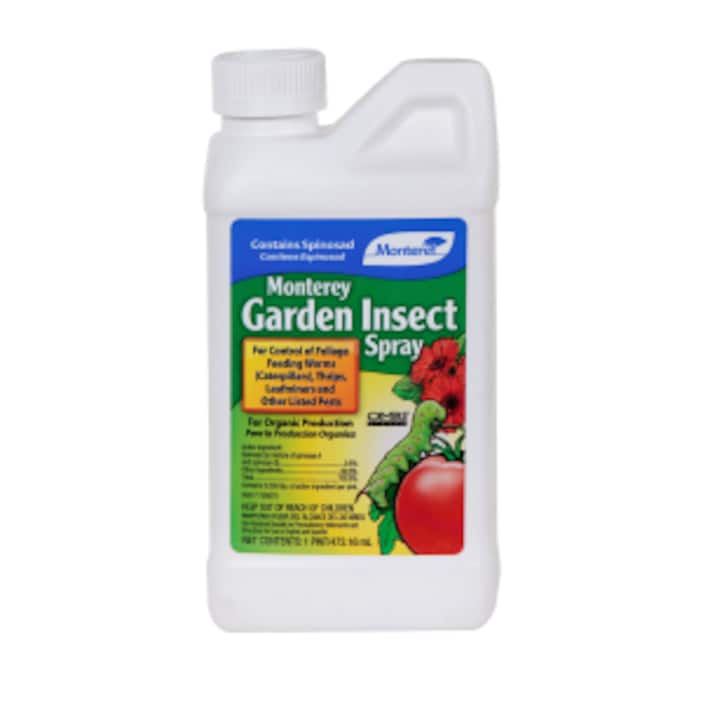 Image for Organic Insect Control
