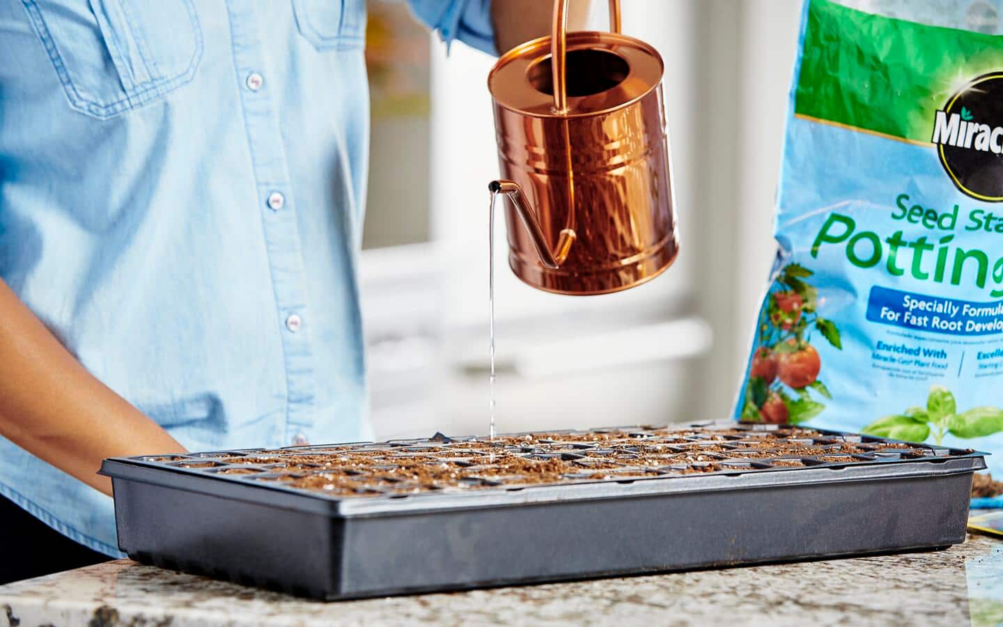 Someone watering seeds in a metal seed starting tray with a gold pitcher.
