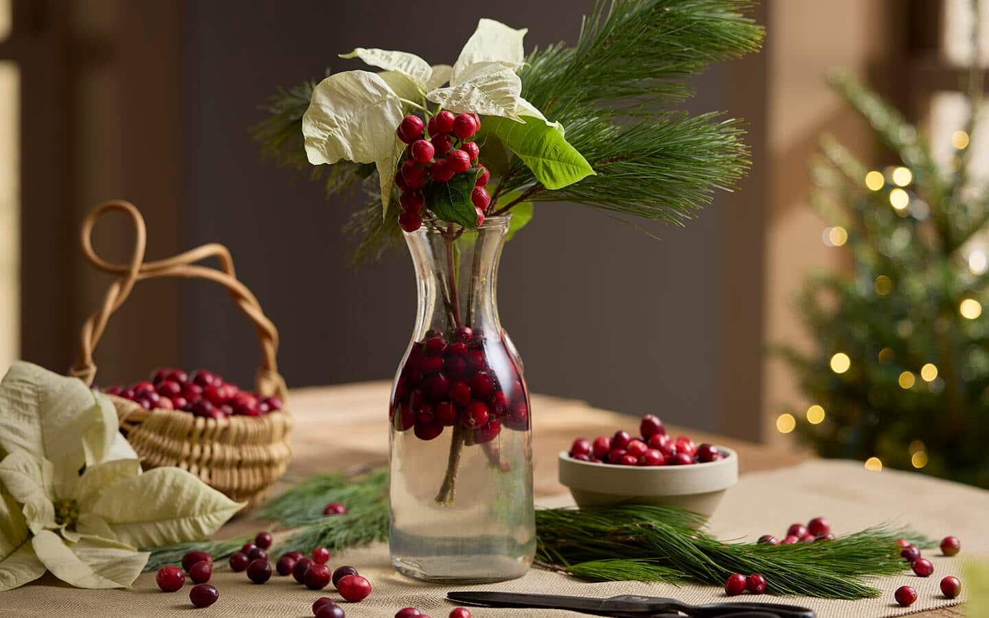 Poinsettia blooms and cranberries in a clear glass vase on a table Poinsettia blooms and cranberries in a clear glass vase on a table