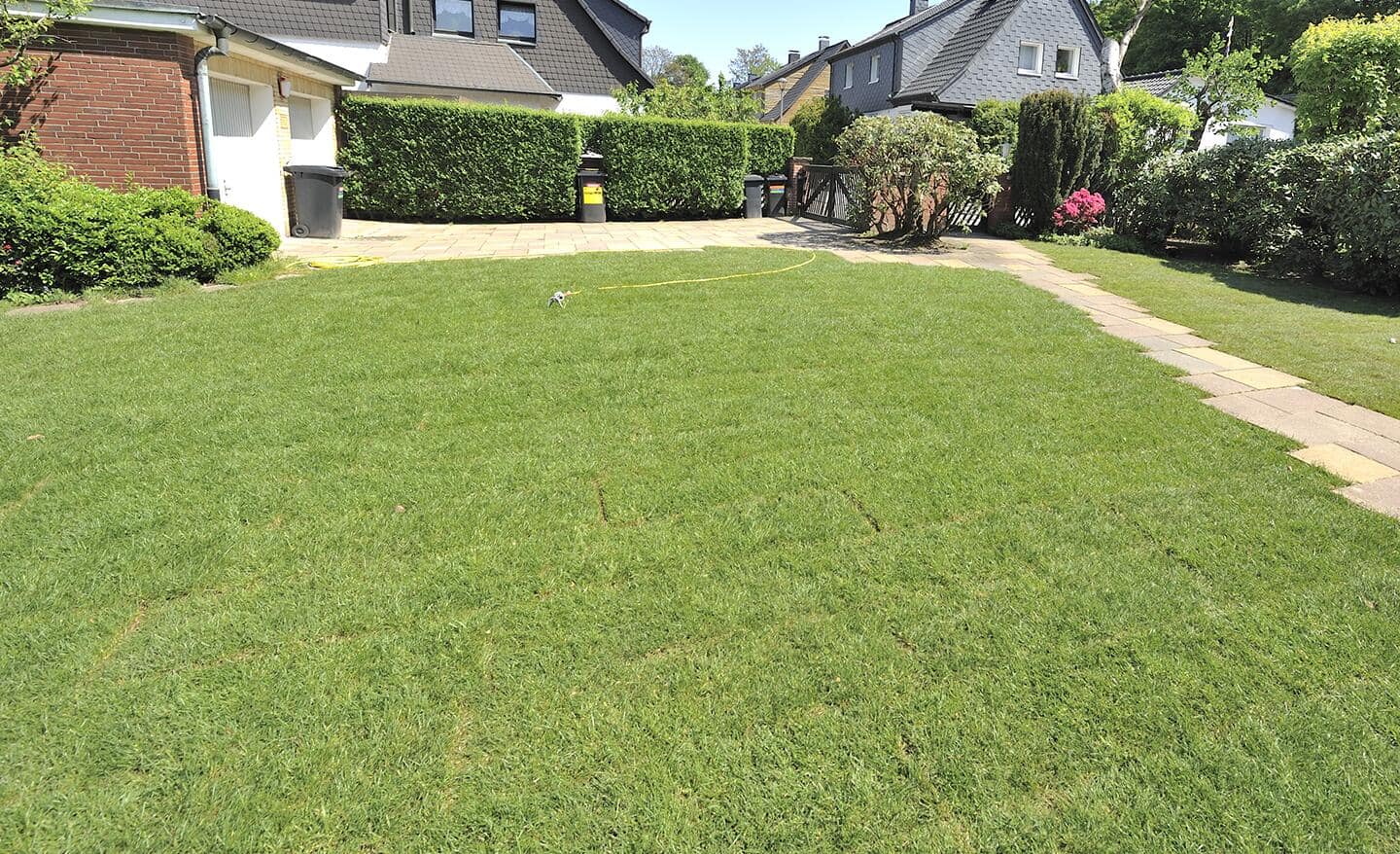 A front lawn filled with rows of sod.