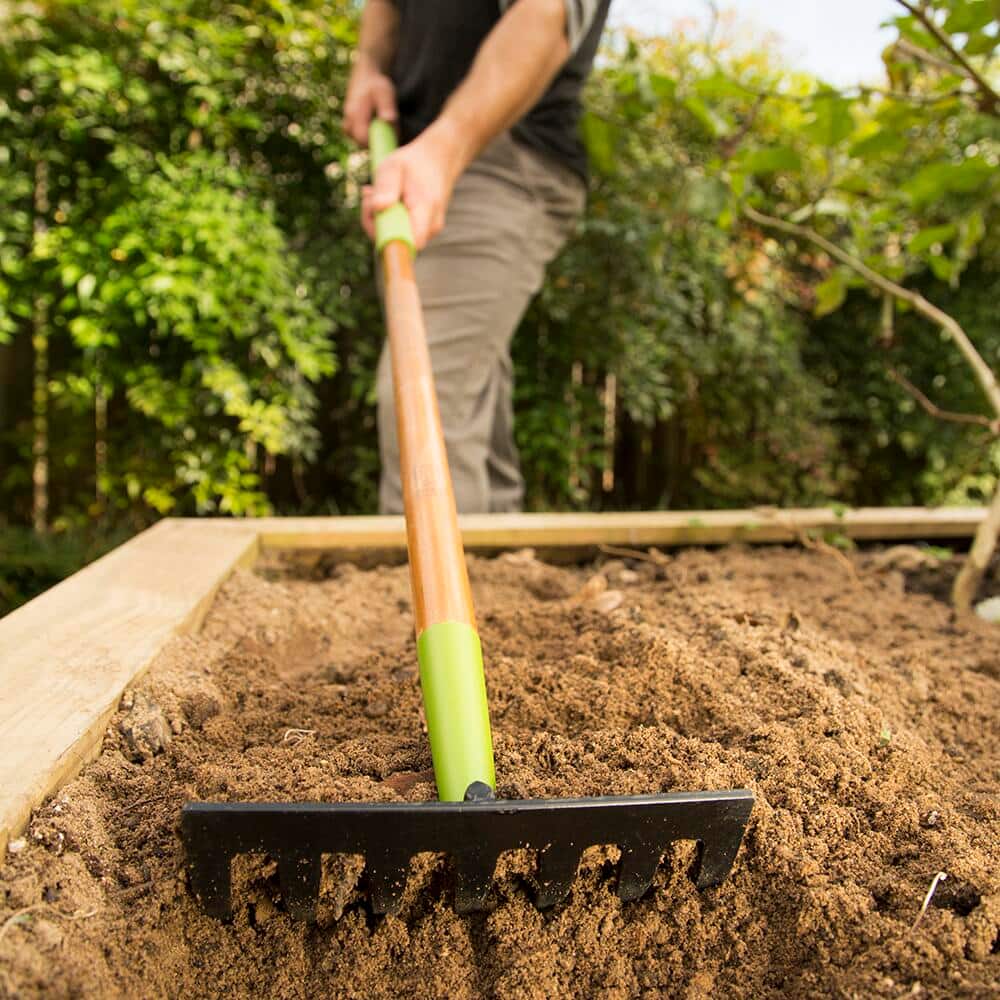 Gardener rakes fresh soil in a raised garden bed