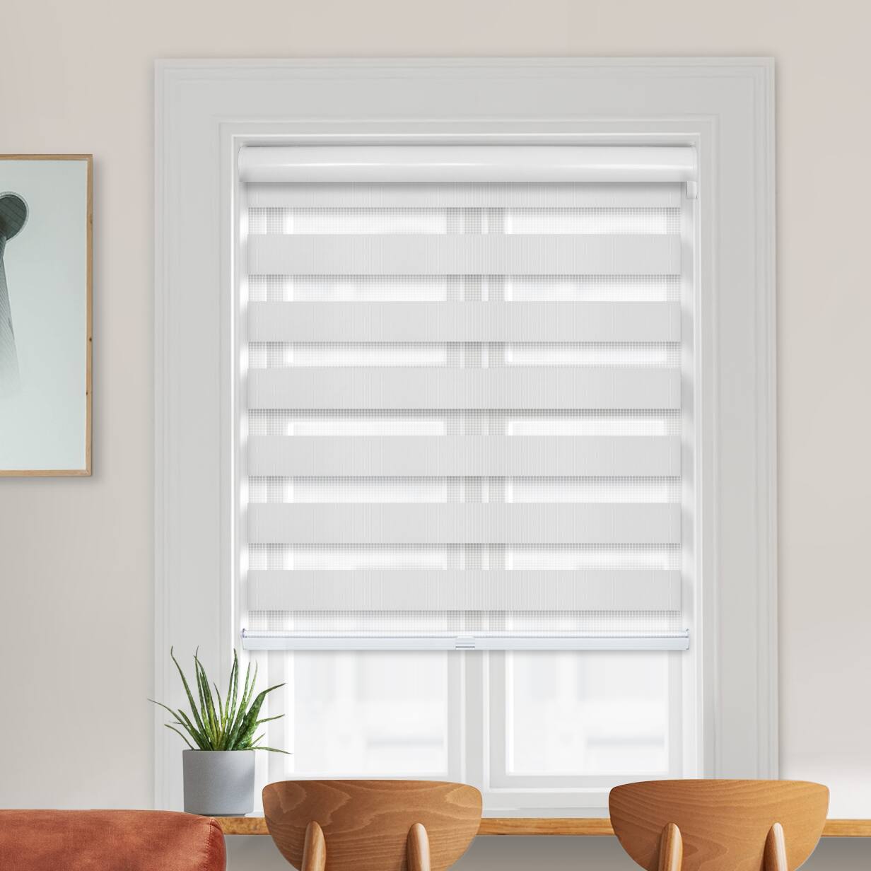  Zebra Roller Shades