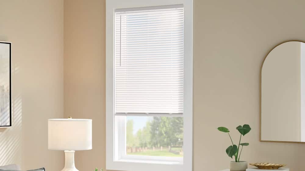 Image for FAST FREE NEXT-DAY DELIVERY 