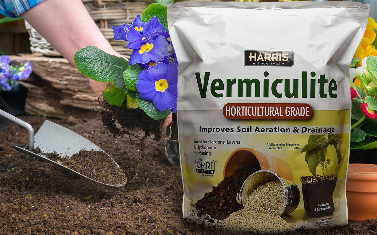 Gardener adds vermiculite to a garden bed Gardener adds vermiculite to a garden bed