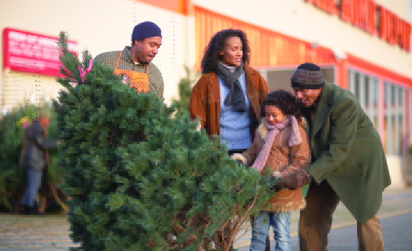 Real Christmas Tree Buying Guide