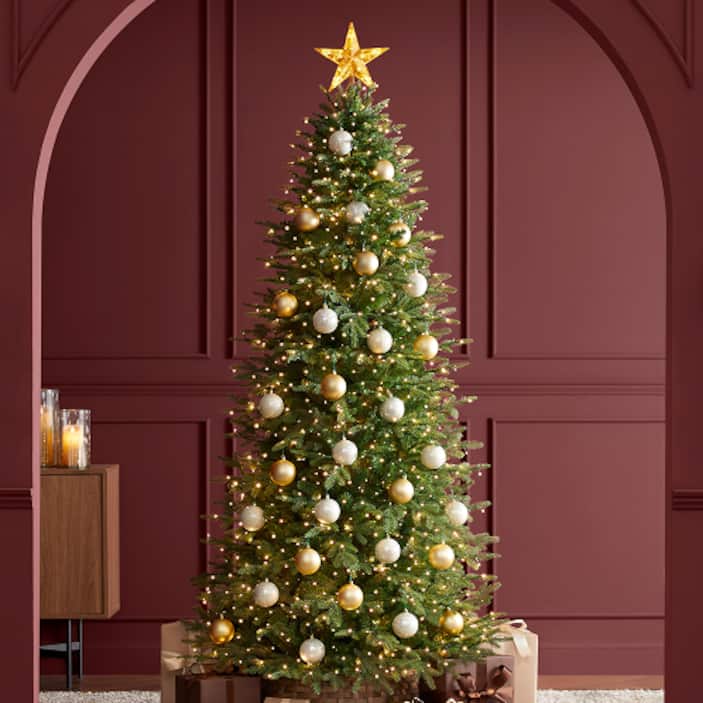 7.5 ft. Slim Grand Duchess Balsam Fir Tree