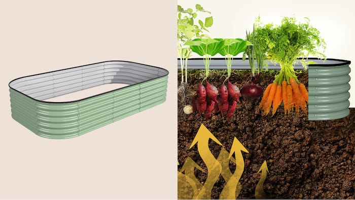 Raised Beds