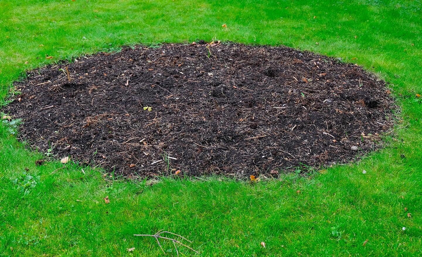 Compost on a green lawn