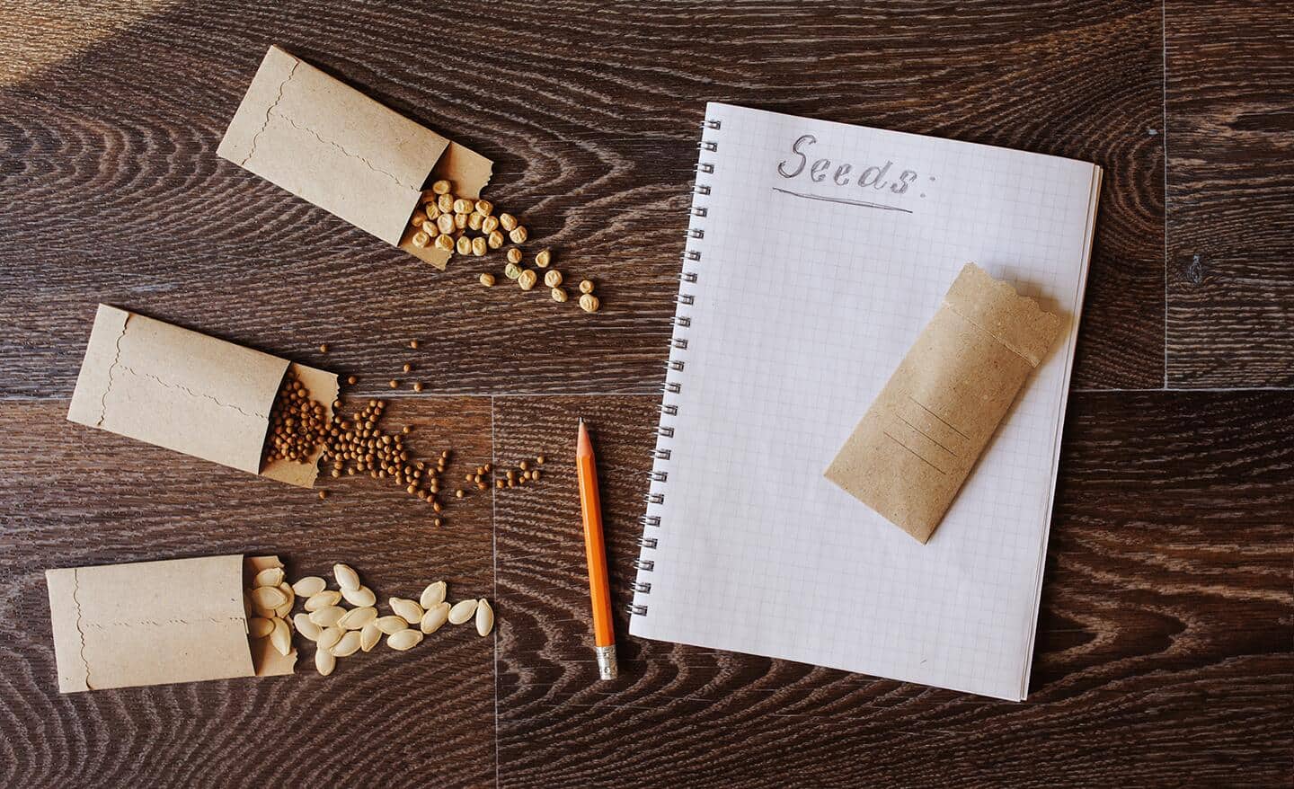 Packets of seeds on a table with an open notebook and pencil