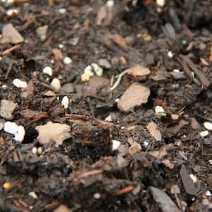Image for Shop Soils