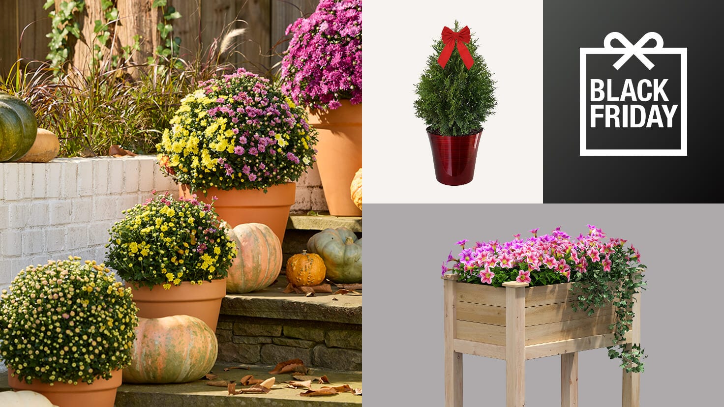 Image for GIFTS FOR GREEN THUMBS