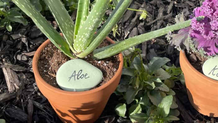 Personalized Garden Rocks