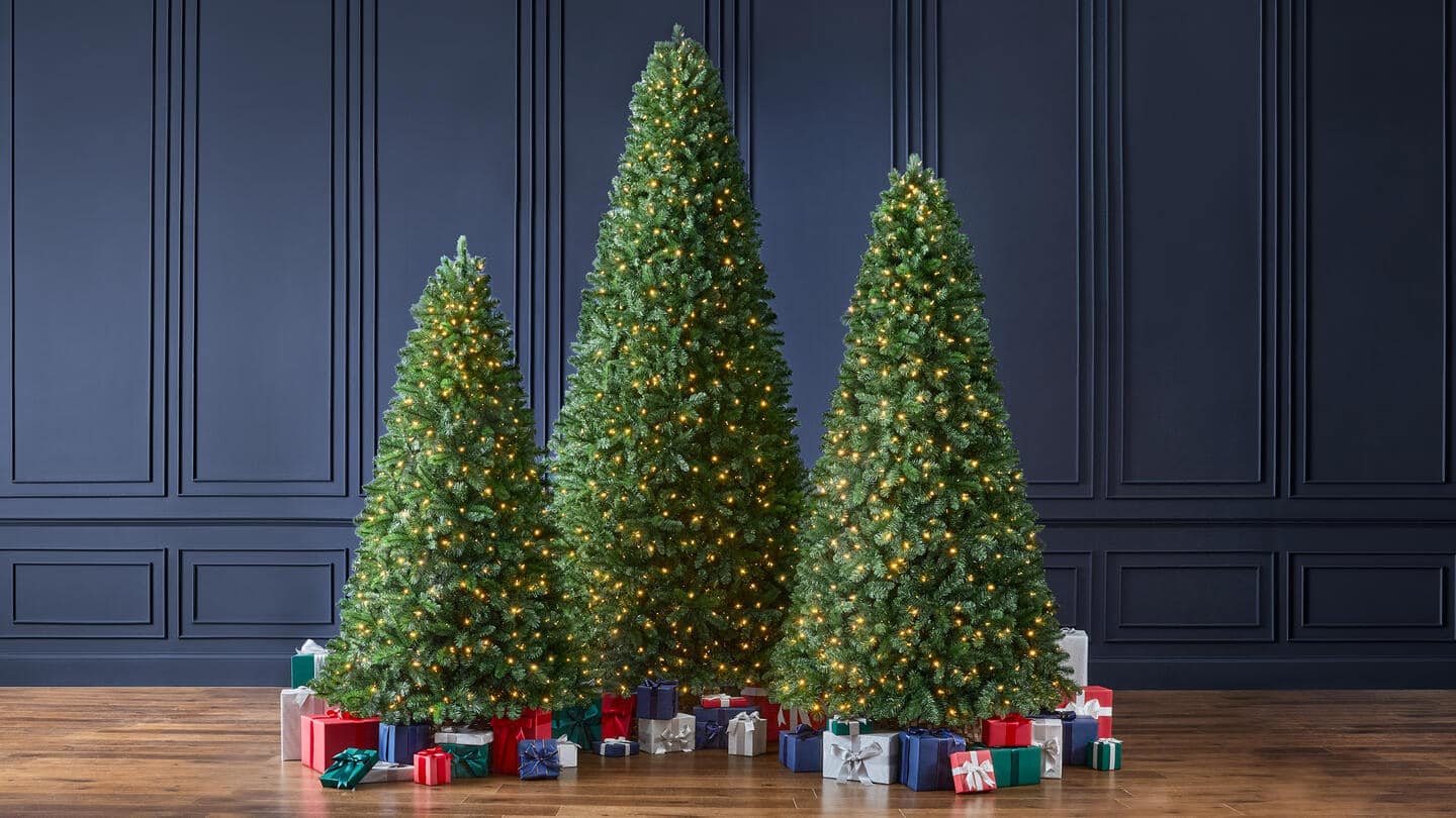 Image for The Wesley Collection