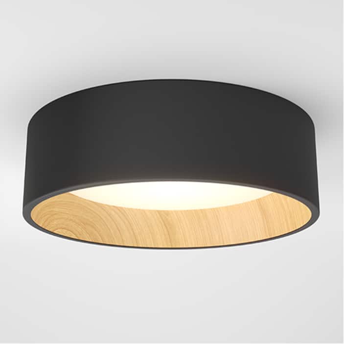 Flush Mount Lights
