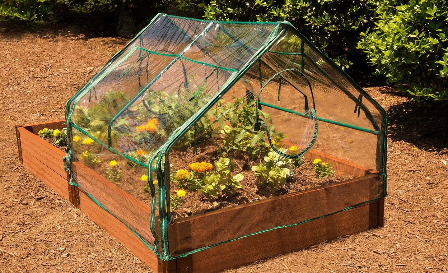 A wooden garden bed sitting on wood chips that are full of greenery and covered by a greenhouse cover. 