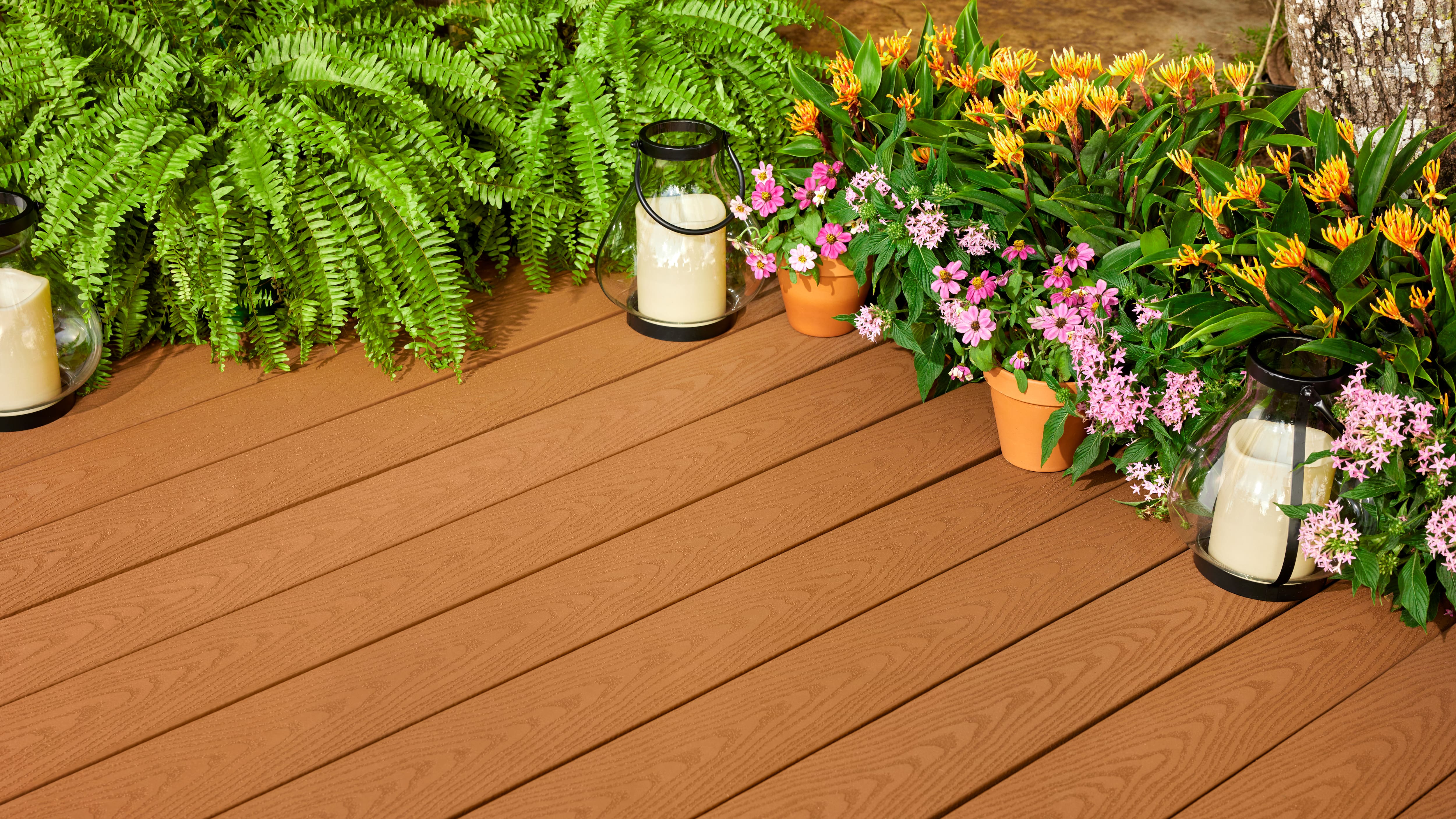 Image for JUMP START YOUR  SPRING PROJECTS