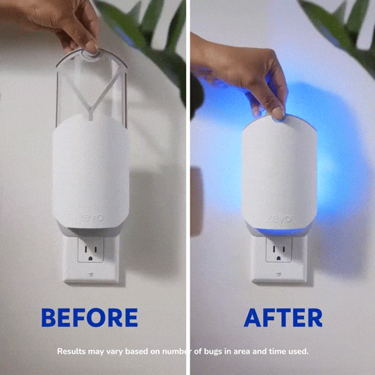 LURE, TRAP & KILL 24/7 LURE, TRAP & KILL 24/7