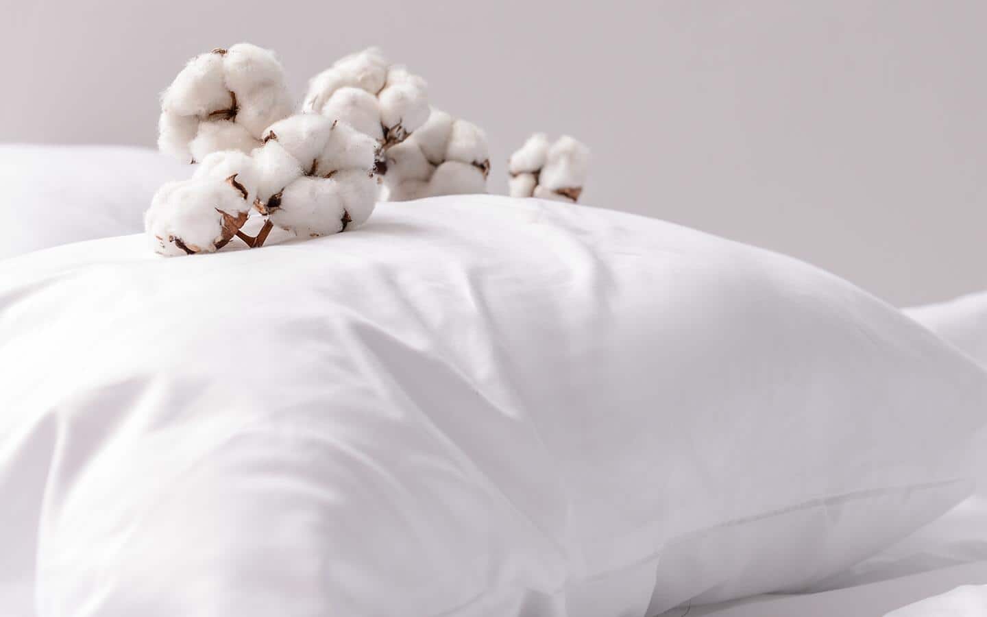Raw cotton laid on top of a pillow. Raw cotton laid on top of a pillow.
