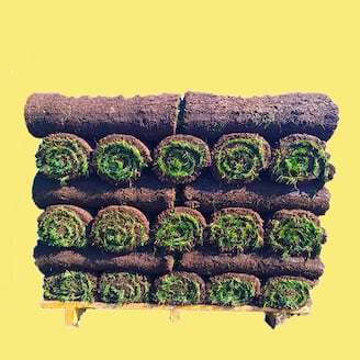Select Sod Pallets. Contiguous U.S. Only.