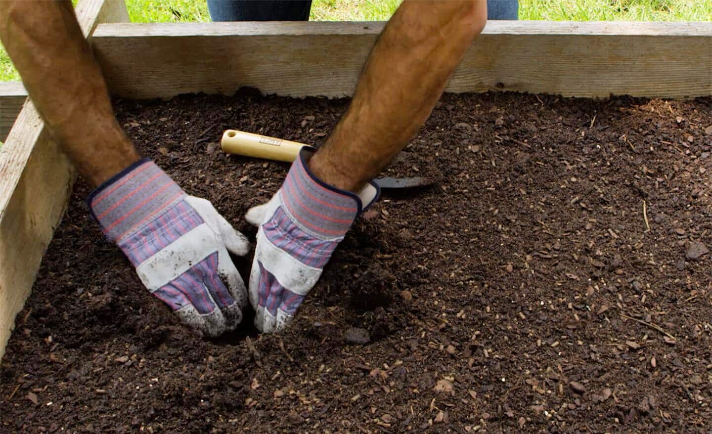 Gardener digging in soil in a raised garden bed