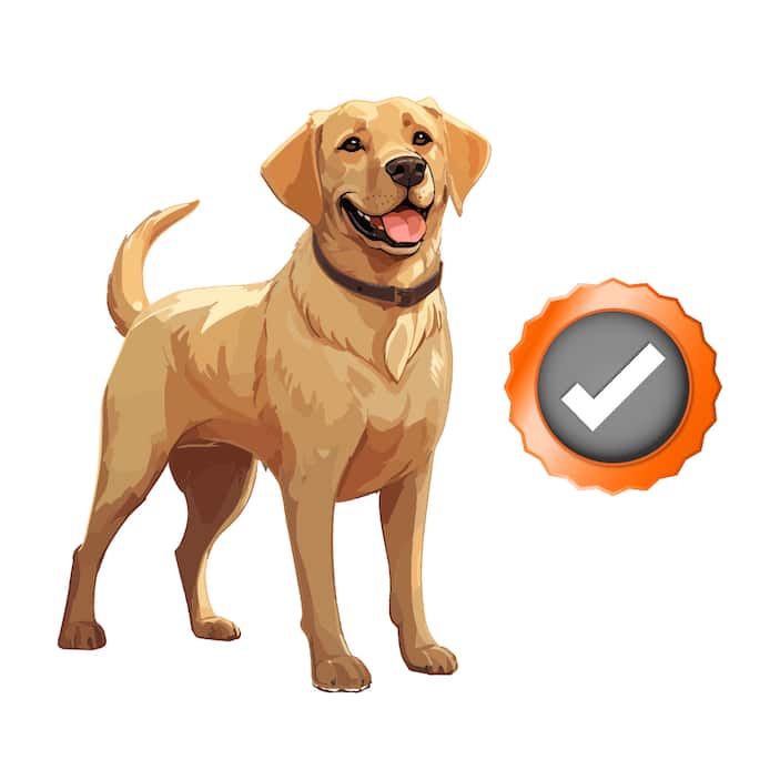 Dog Safe